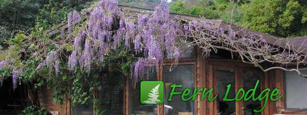 Fern Lodge